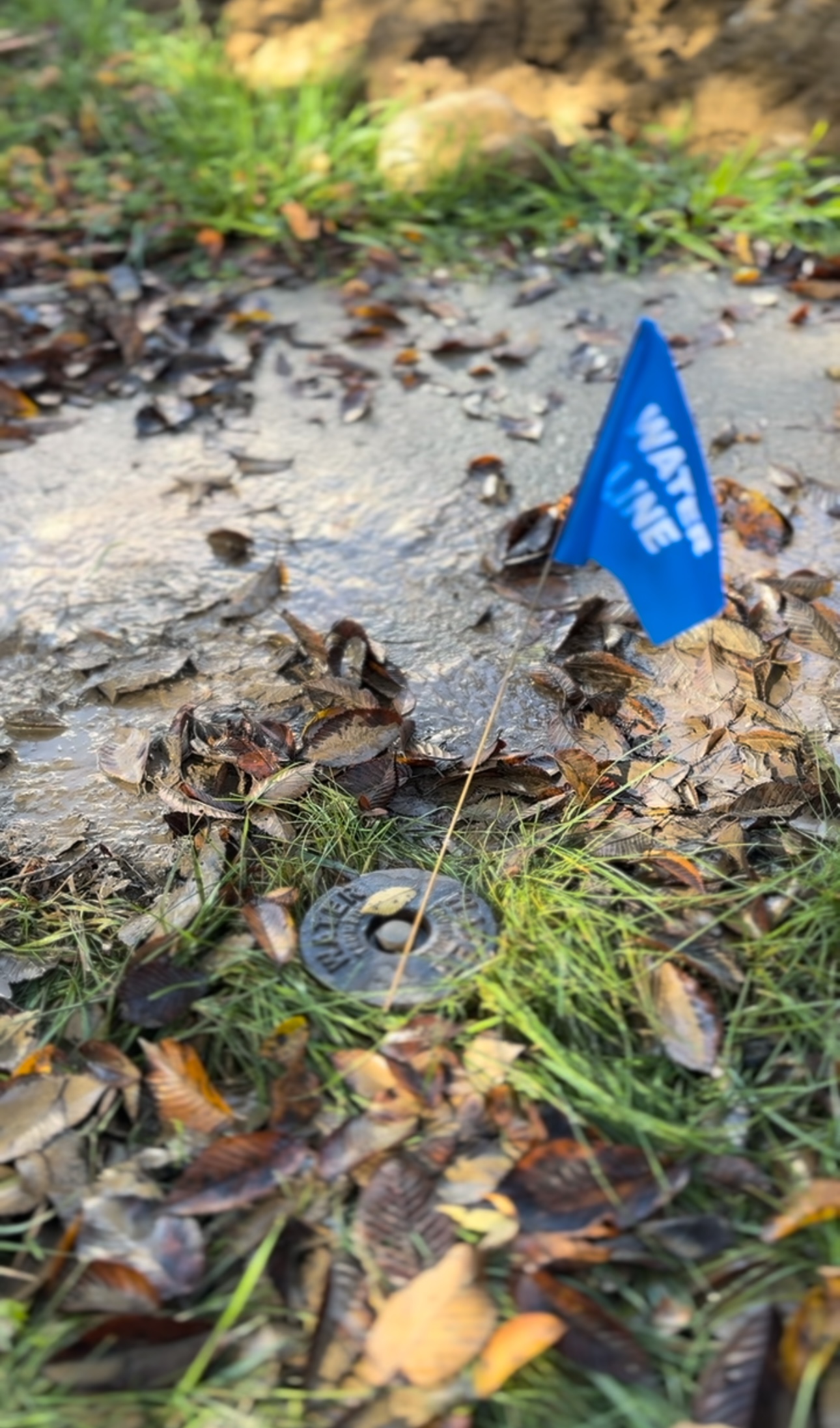 Waterline Flag and Curb Box